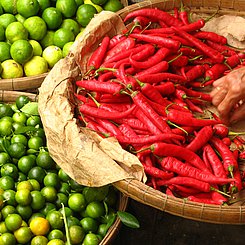 Vietnam Chili am Markt Indochina