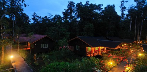 Abai Jungle Lodge Sandakan Malaysia