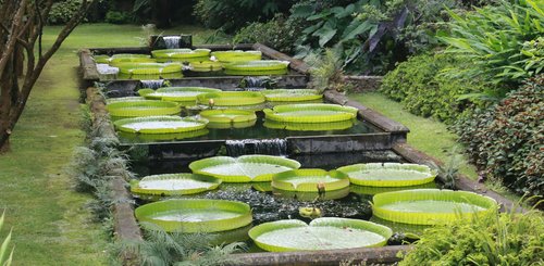 Terra Nostra Garten