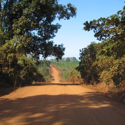Straße nach Ratanakiri 