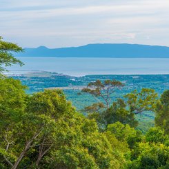 Blick von der Straße in den Bokor Nationalpark Kampot Kambodscha