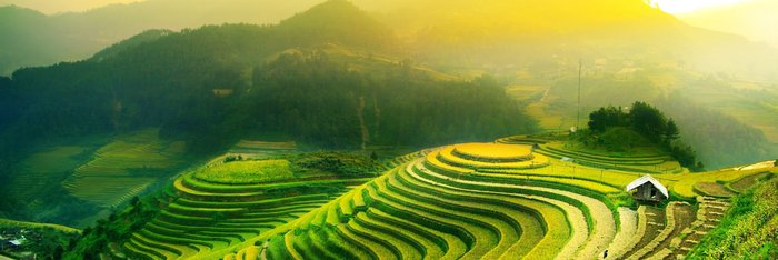Reisterrassen Mu Cang Chai Yen Bai Vietnam