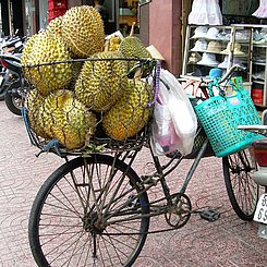 Fahrrad mit Früchten - das Fahrrad ist immer noch universelles Transportmittel in Vietnam