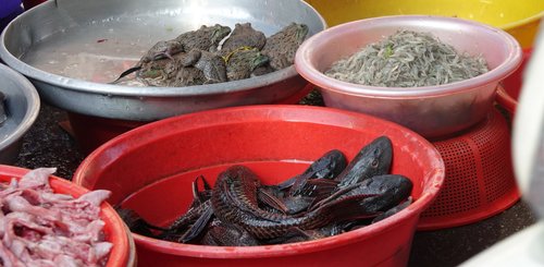 Angebot am Markt Mekongdelta Südvietnam