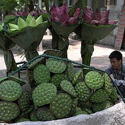 Hanoi Altstadt Straßenszene