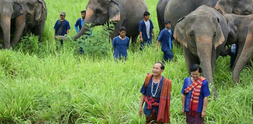 Elephant Haven Kanchanburi