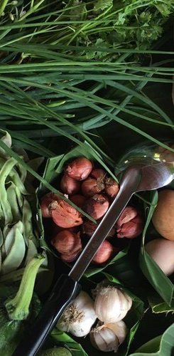 Stämme und Tempel in Nordlaos
