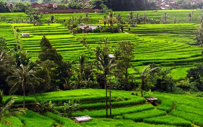 Tourismusabgabe bei Einreise auf Bali zum Schutz der Natur auf Bali