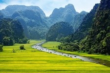 Reisfeld Ninh Binh in Vietnam Trockene Halongbucht