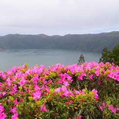 Sao Miguel
