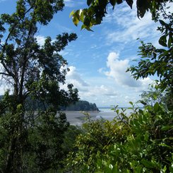 Bako Nationalpark Sarawak