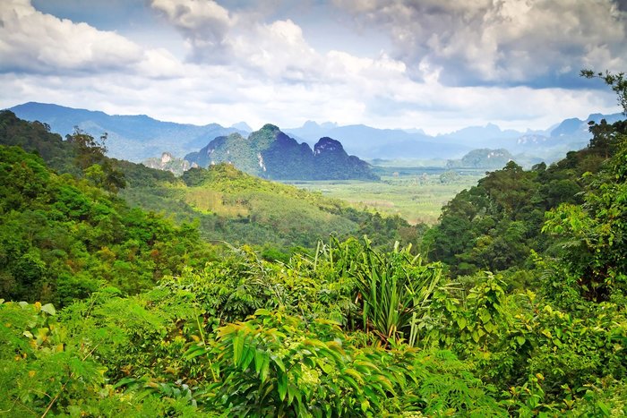 Der Khao Sok Nationalpark bildete die traumhafte Kulisse für DSDS