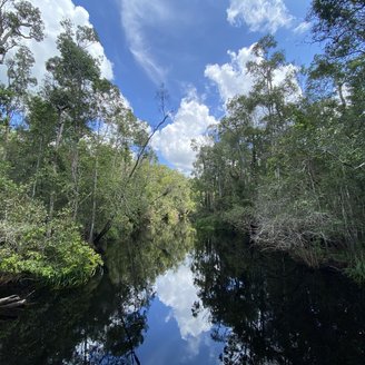 Tanjung Puting Nationalpark Kumai River auf Borneo