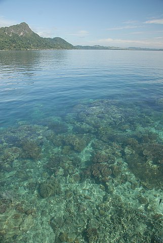 Seram Ora