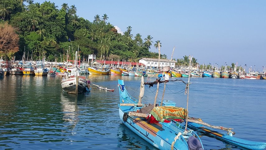Szene mit Fischerbooten im Hafen Sri Lanka