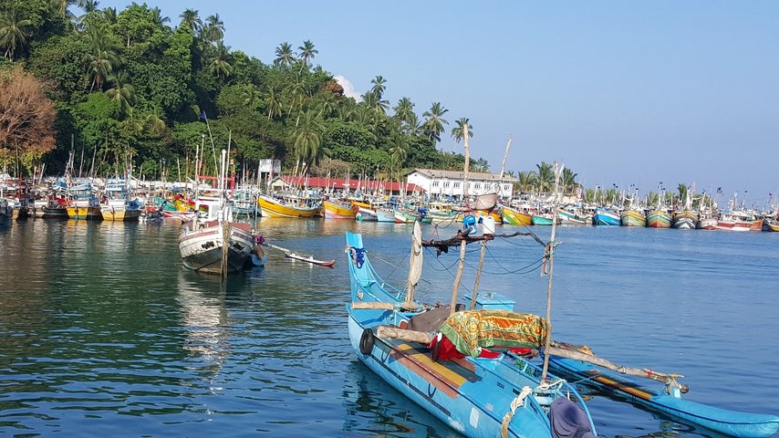 Fischerboote Sri Lanka Szene mit Fischerbooten im Hafen Sri Lanka