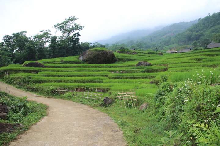 Landschaft mit Weg Little Sapa