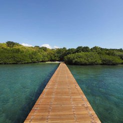 The Menjangan Bali - Steg Bajul Bay