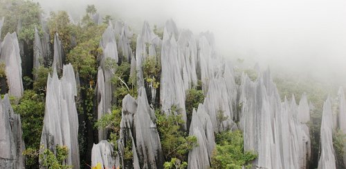 Mulu Nationalpark auf Borneo Malaysia - einzigartige Landschaftsformationen