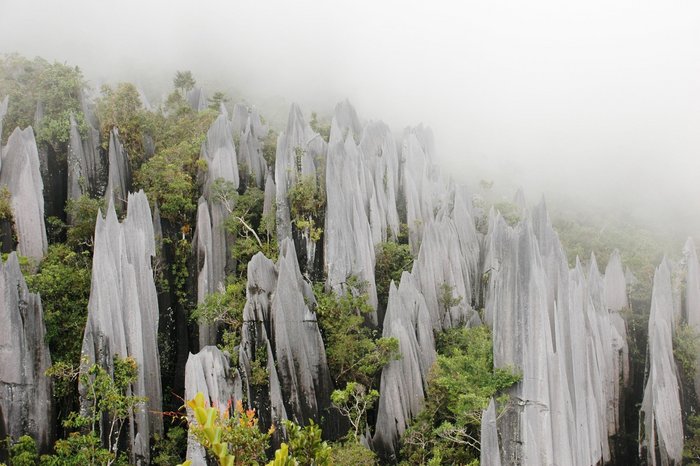 Mulu Nationalpark auf Borneo Malaysia - einzigartige Landschaftsformationen