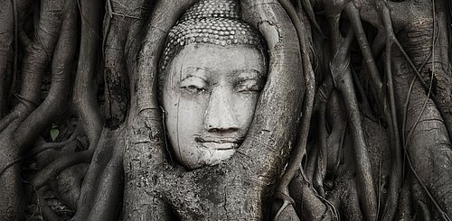 Detail des Wat Mahathat Ayutthaya Thailand