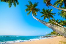 tropischer Strand auf Sri Lanka ein tropischer Strand ist bei einer Reise nach Sri Lanka nie weit entfernt