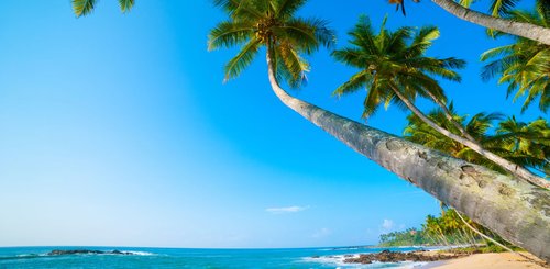 ein tropischer Strand ist bei einer Reise nach Sri Lanka nie weit entfernt 