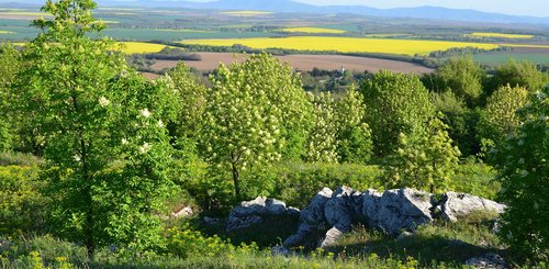 Weinregion Südungarn