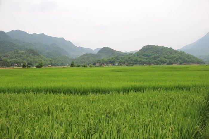 Little Sapa Mai Chau