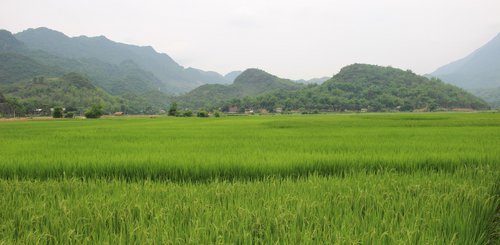 Little Sapa Mai Chau