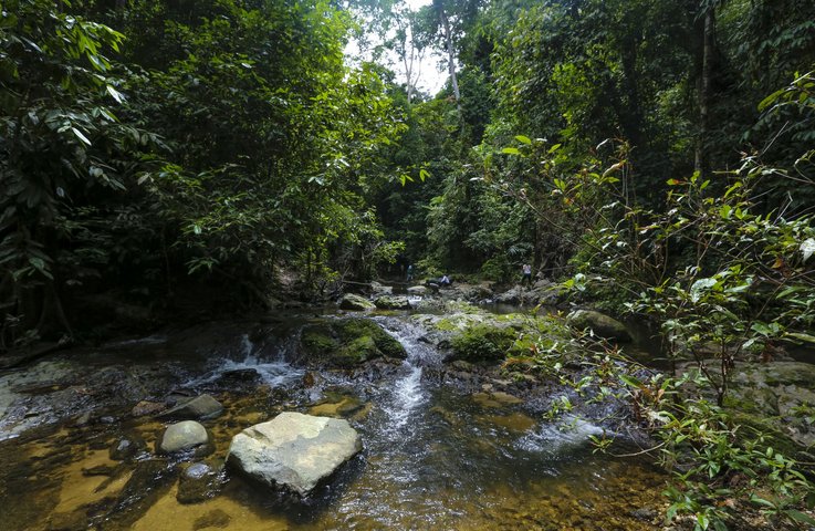 Royal Belum Rainforest Park am Ost West Highway Malaysia