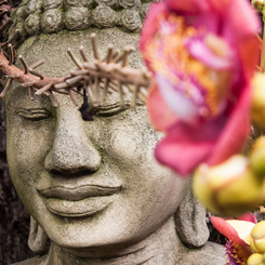 Buddha beim Koenigspalast Phnom Penh Kambodscha