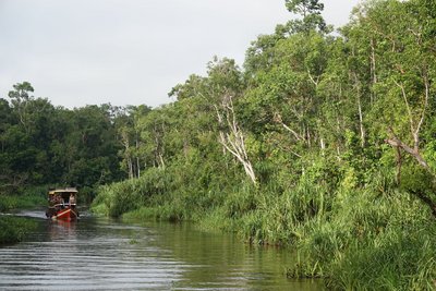 mit dem Hausboot auf Borneo unterwegs