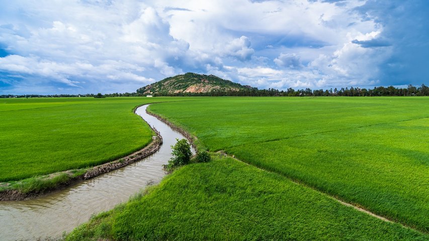 Reisfelder am Sam Mountain Südvietnam