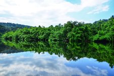 Am Weg zum Tatai Wasserfall. Koh Kong Am Weg zum Tatai Wasserfall. Koh Kong. Traumhafte Mangroven und Flusslandschaft