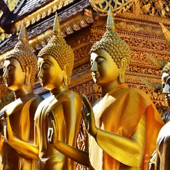 Wat Phra That Doi Suthep - buddhistischer Tempel in der Proving Chiang Mai