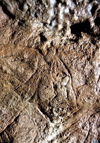 Les Combarelles //Heinrich Wendel (© The Wendel Collection, Neanderthal Museum), Les Combarelles Cave - 1, CC BY-SA 4.0 Les Combarelles Ritzzeichnungen
