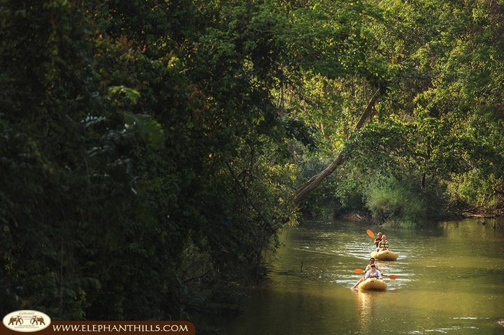 Elephant Hills Regenwald Natur Safari Aktivprogramm im Khao Sok Nationalpark 